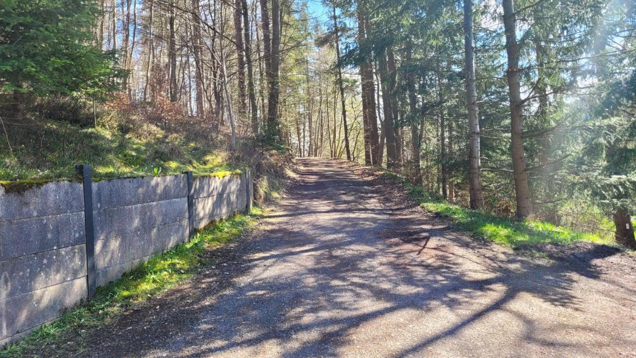 Waldpension Am Koepfchen Kurort Steinbach-Hallenberg 外观 照片