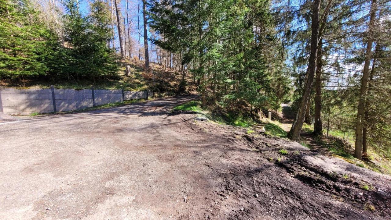 Waldpension Am Koepfchen Kurort Steinbach-Hallenberg 外观 照片